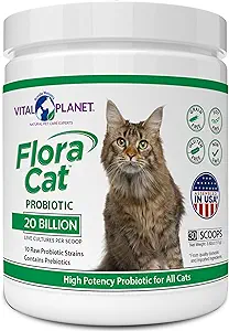 Best Probiotics for Senior Cat